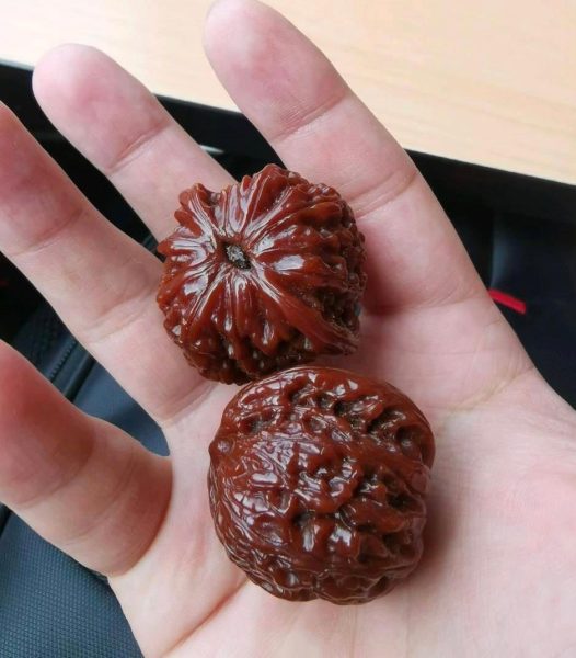 手心中的“小别墅”,被炒上50万的文玩核桃,到底是不是智商税?