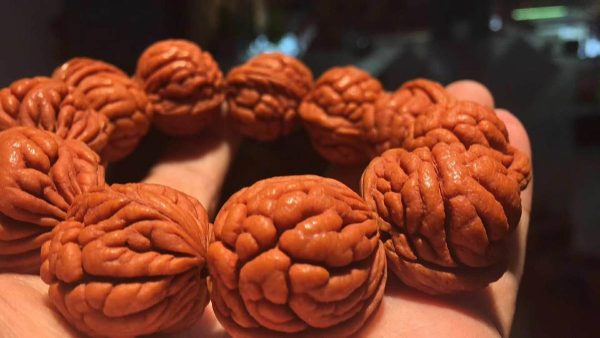 手心中的“小别墅”,被炒上50万的文玩核桃,到底是不是智商税?