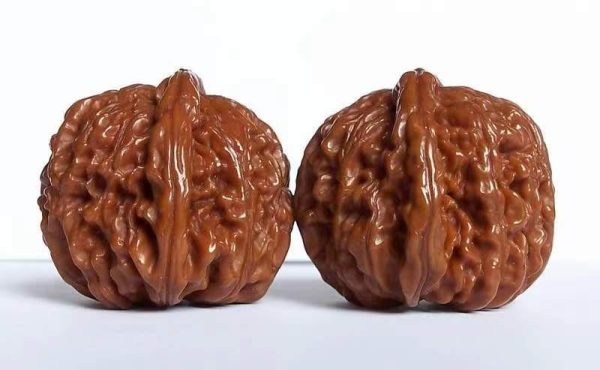 手心中的“小别墅”,被炒上50万的文玩核桃,到底是不是智商税?