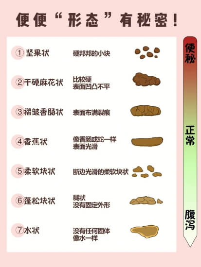 从便便看健康