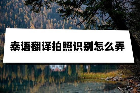 泰语翻译拍照识别怎么弄?这几个方法太实用了