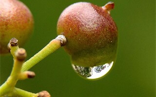 最新！十大“高薪专业”公布：南京一高校均有开设，实力瞩目！